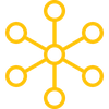 Multi-Network Connectivity